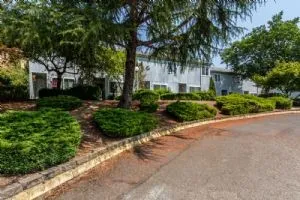 a front view of a house with a garden and trees