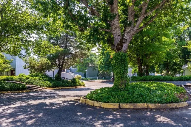 a front view of a house with a yard and green space