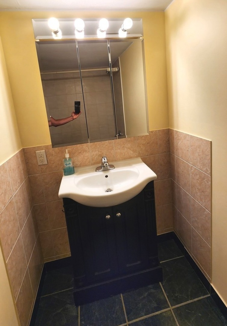 588 Fairway View Drive, Unit 2E Wheeling, IL 60090 - Photo 8 of 13 a bathroom with a sink and mirror