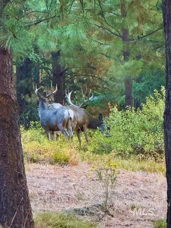 $4,700,000 | 62924 Wolf Creek Lane, North Powder, OR 97867