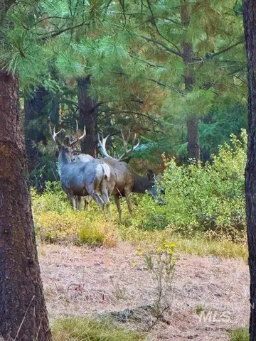 $4,700,000 | 62924 Wolf Creek Lane, North Powder, OR 97867