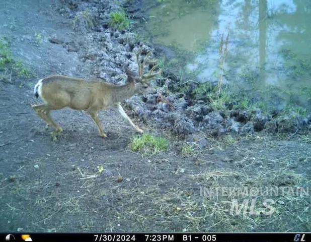 $4,700,000 | 62924 Wolf Creek Lane, North Powder, OR 97867