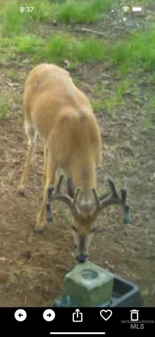 $4,700,000 | 62924 Wolf Creek Lane, North Powder, OR 97867