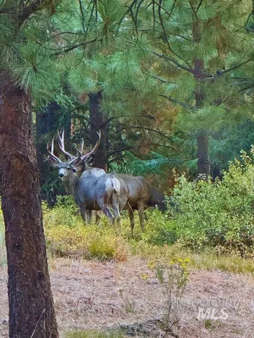 $4,700,000 | 62924 Wolf Creek Lane, North Powder, OR 97867