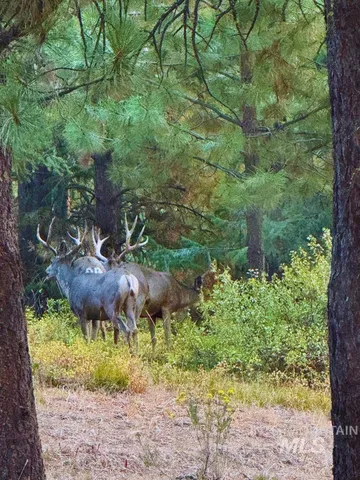 $4,700,000 | 62924 Wolf Creek Lane, North Powder, OR 97867