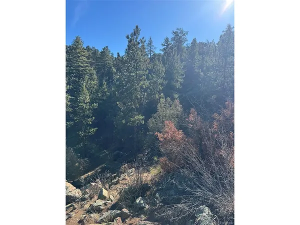 $7,500 | 1 G Path, Cotopaxi, CO 81223