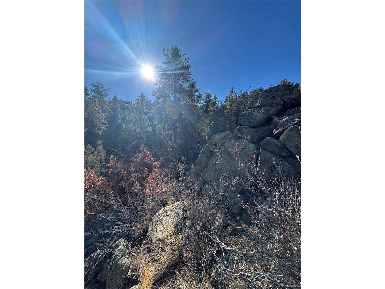 1 G Path Cotopaxi, CO 81223 - Photo 5 of 6