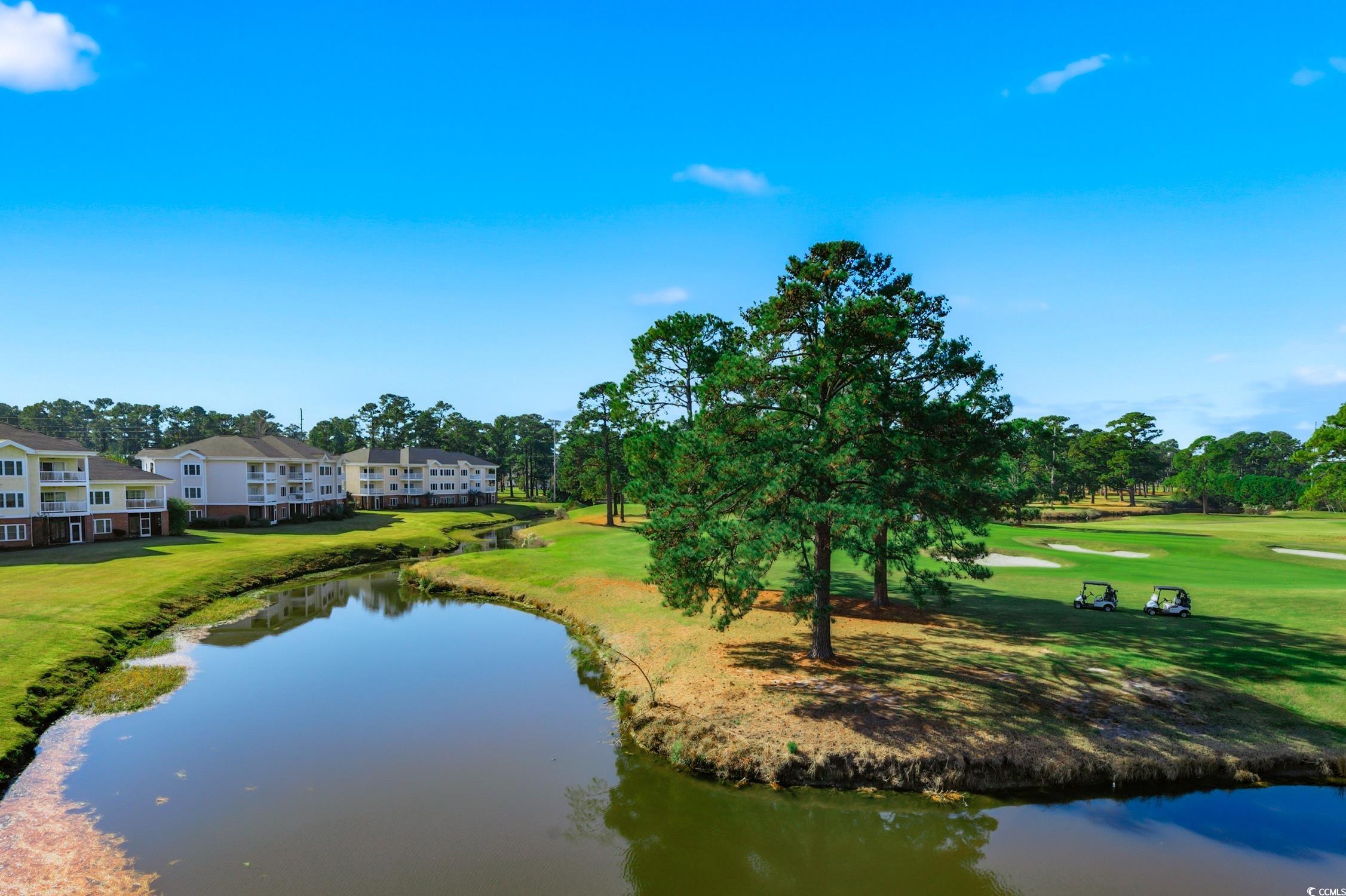 4839 Carnation Circle, Unit 305 Myrtle Beach, SC 29577 - Photo 19 of 24 Water view featuring a tree filled landscape