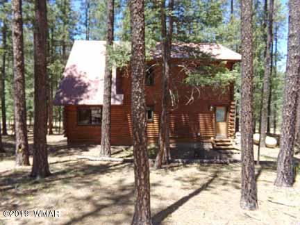 16 County Road Alpine, AZ 85920 - Photo 3 of 22