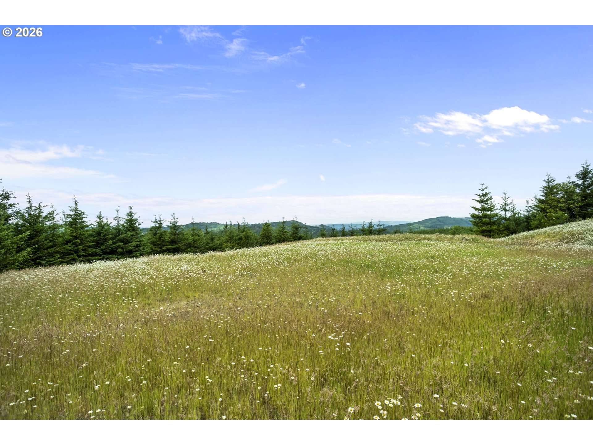104 Bootjack Lane Kelso, WA 98626 - Photo 15 of 31 Home Site