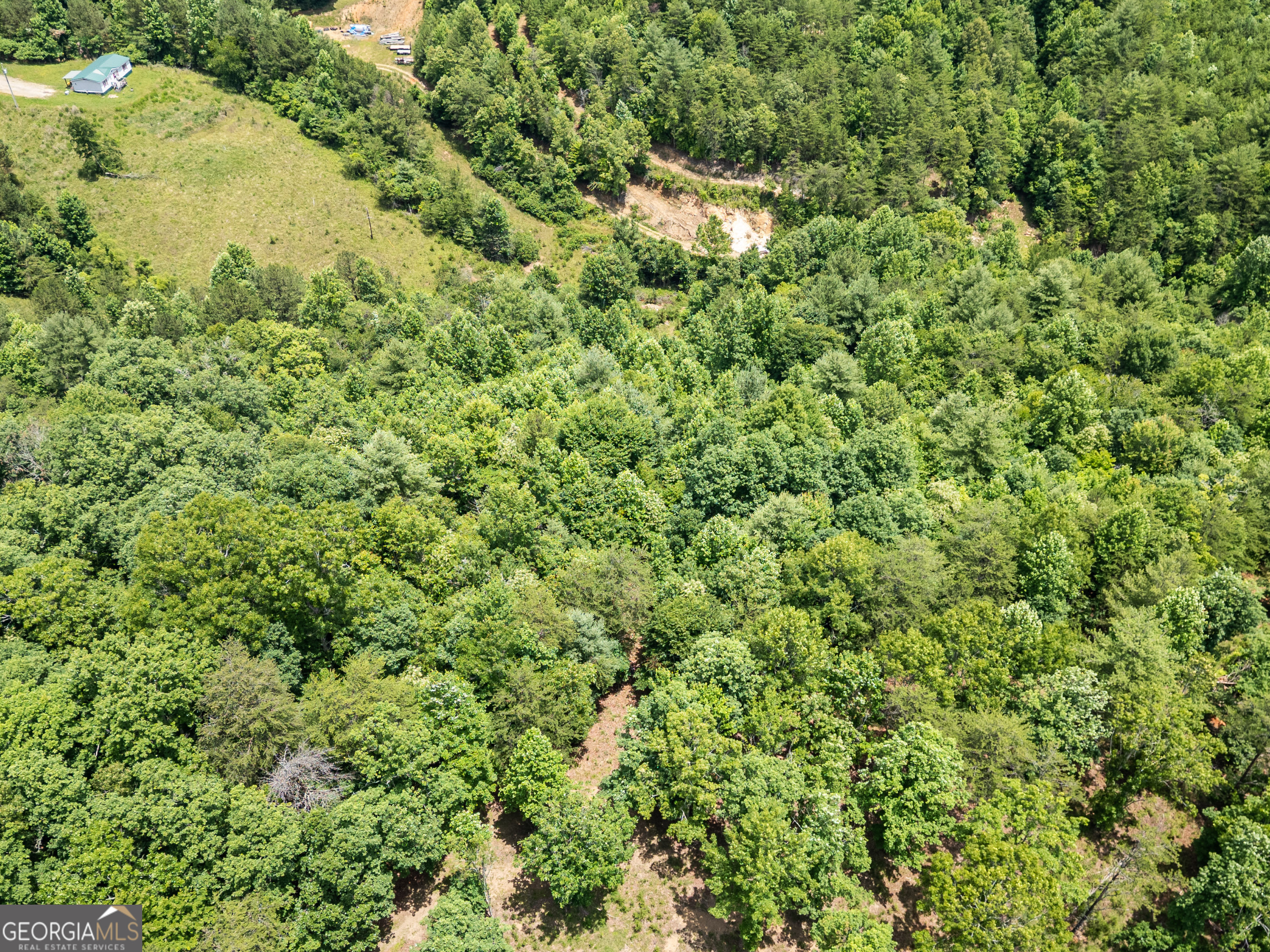 2 Stormy Ridge Brasstown, NC 28902 - Photo 13 of 16