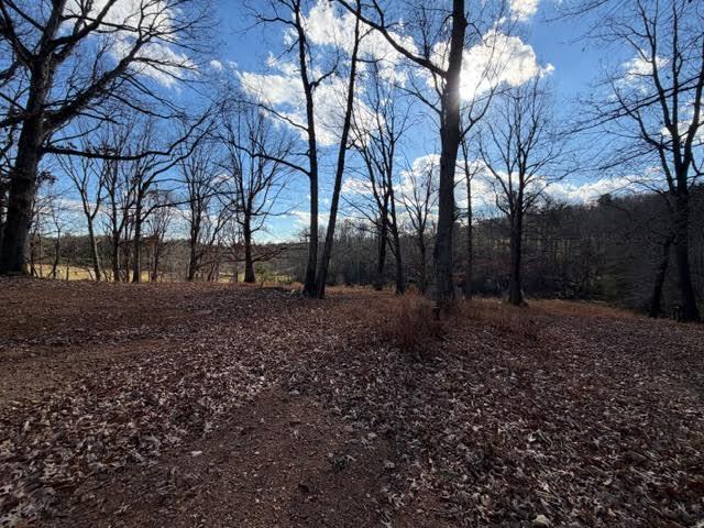 5779 Alean Road Boones Mill, VA 24065 - Photo 31 of 32 17