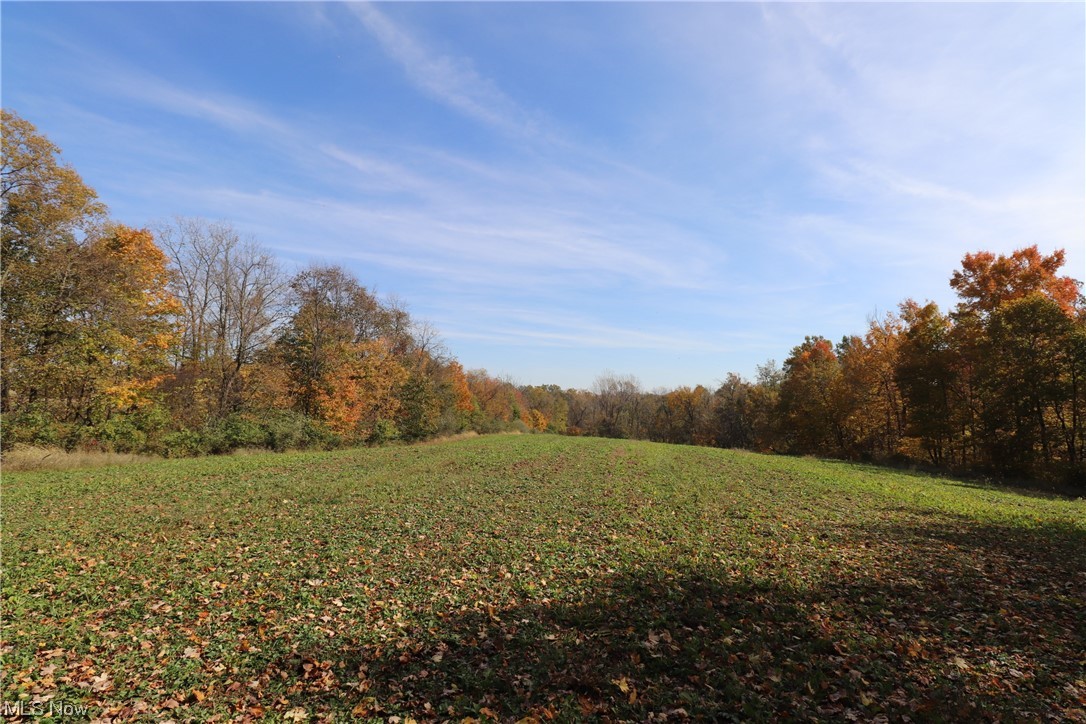 Blue Rd Mount Mount Vernon, OH 43050 - Photo 7 of 23 Gallery Image 7