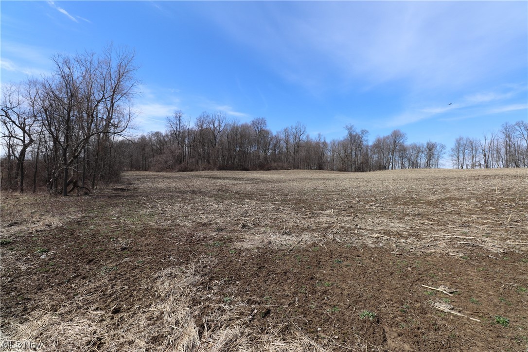 7 New Delaware Road Mount Vernon, OH 43050 - Photo 7 of 13 Gallery Image 7