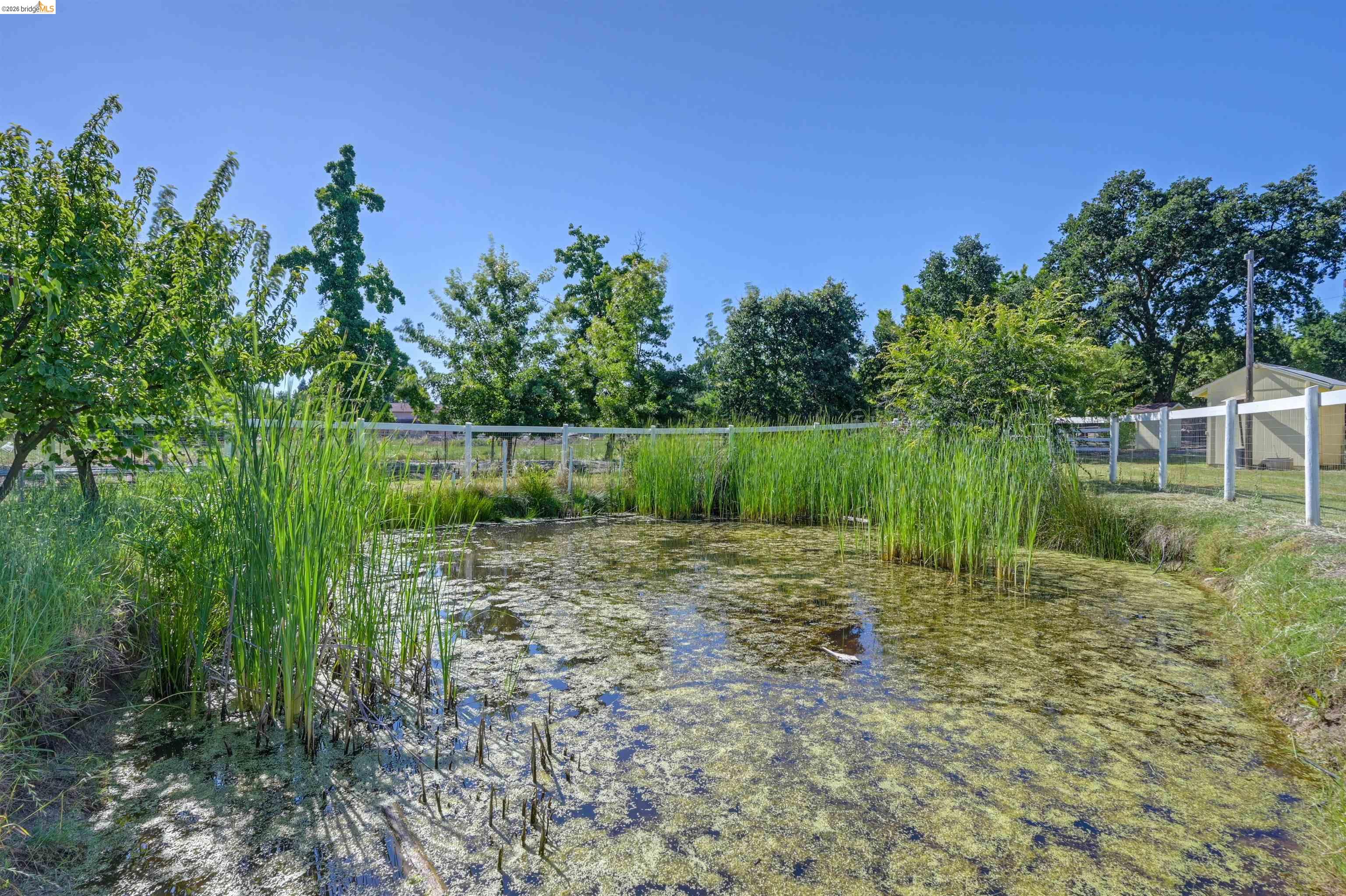 10474 Sheldon Road Elk Grove, CA 95624 - Photo 63 of 83 Natural water feature with surrounding green foliage and a distant white fence