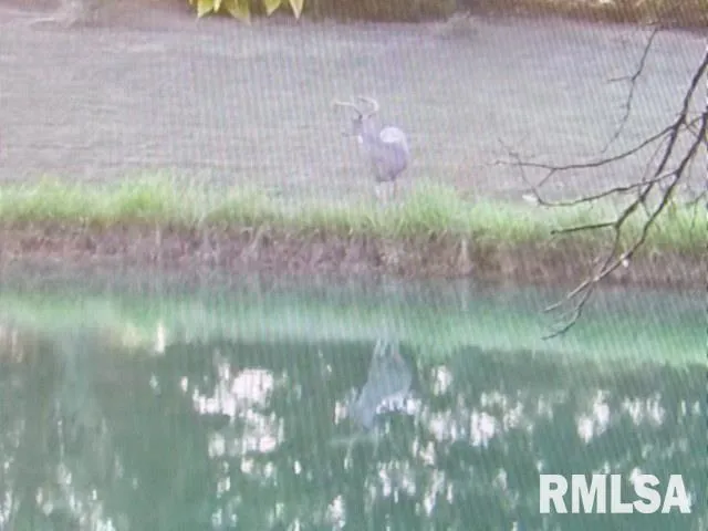 $390,000 | 4490 Brushy Creek Church Road, Galatia, IL 62935