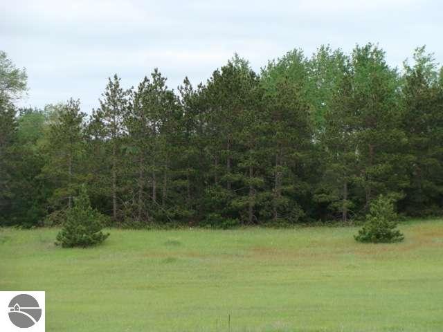 1867 North Lamb Road Interlochen, MI 49643 - Photo 14 of 15 1693817-13.JPG