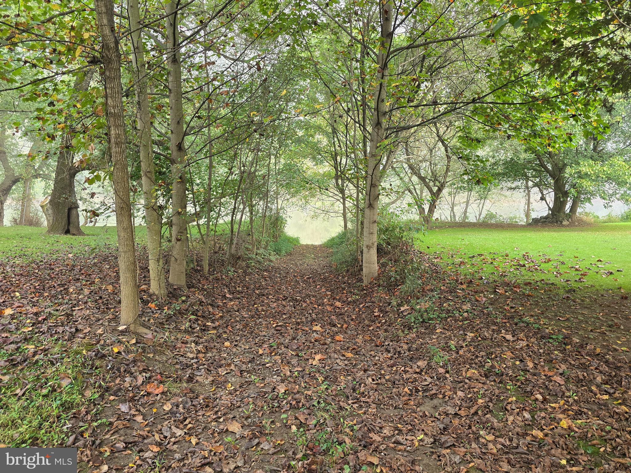 3165 Springfield Pike Springfield, WV 26763 - Photo 5 of 16 a view of a yard with a tree