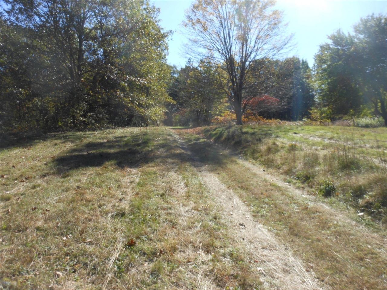 True Road Berrien Center, MI 49102 - Photo 1 of 1
