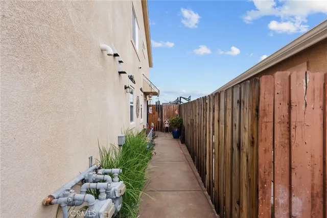 a view of a pathway with a flower plants