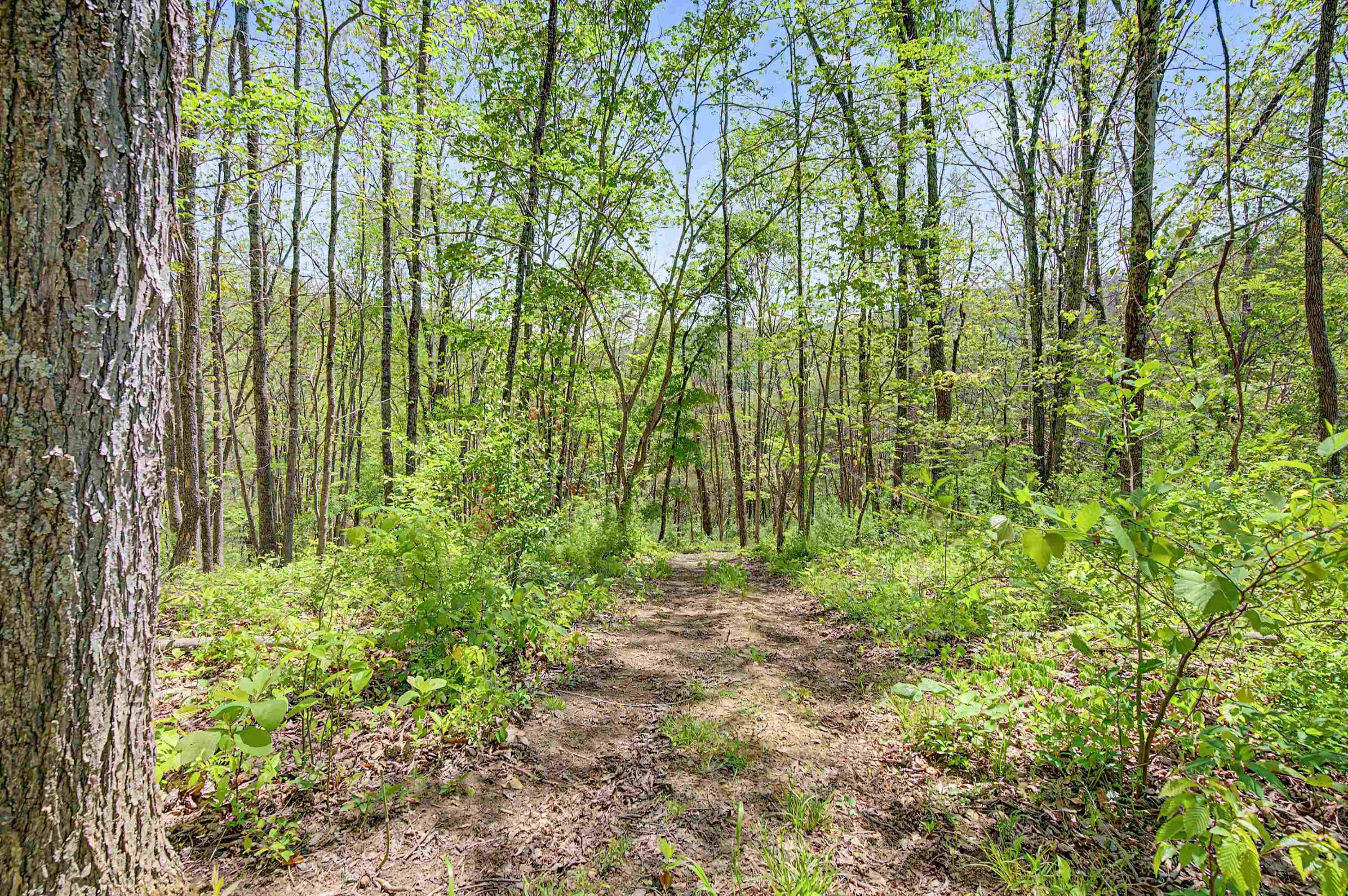 805 Sunset River Road Ceres, VA 24318 - Photo 55 of 78 Gallery Image 55