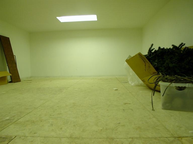 2416 Rodeo Street Selma, CA 93662 - Photo 96 of 99 Huge attic storage room