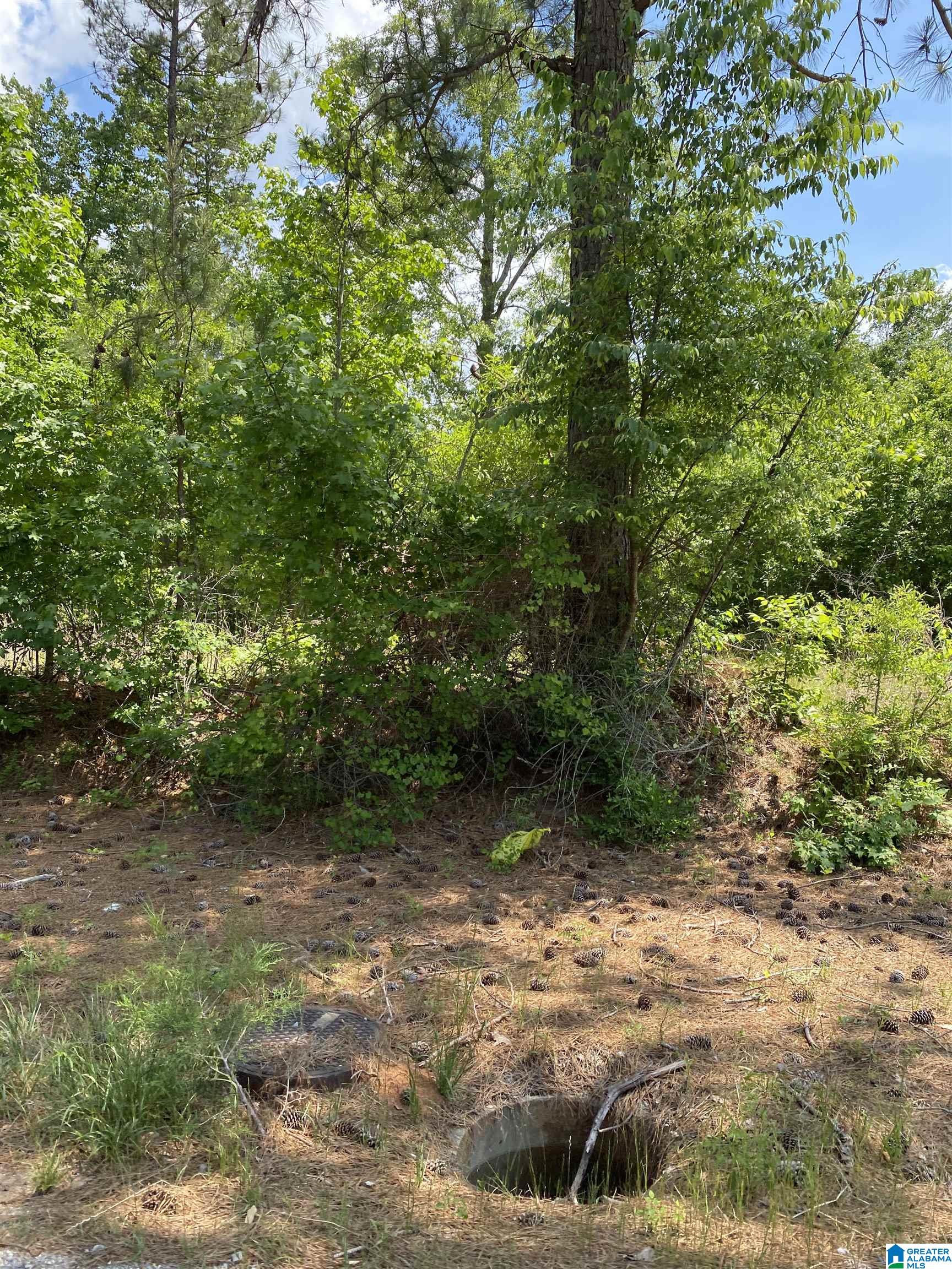 5942 Stemley Road, Unit 1 Talladega, AL 35160 - Photo 3 of 14