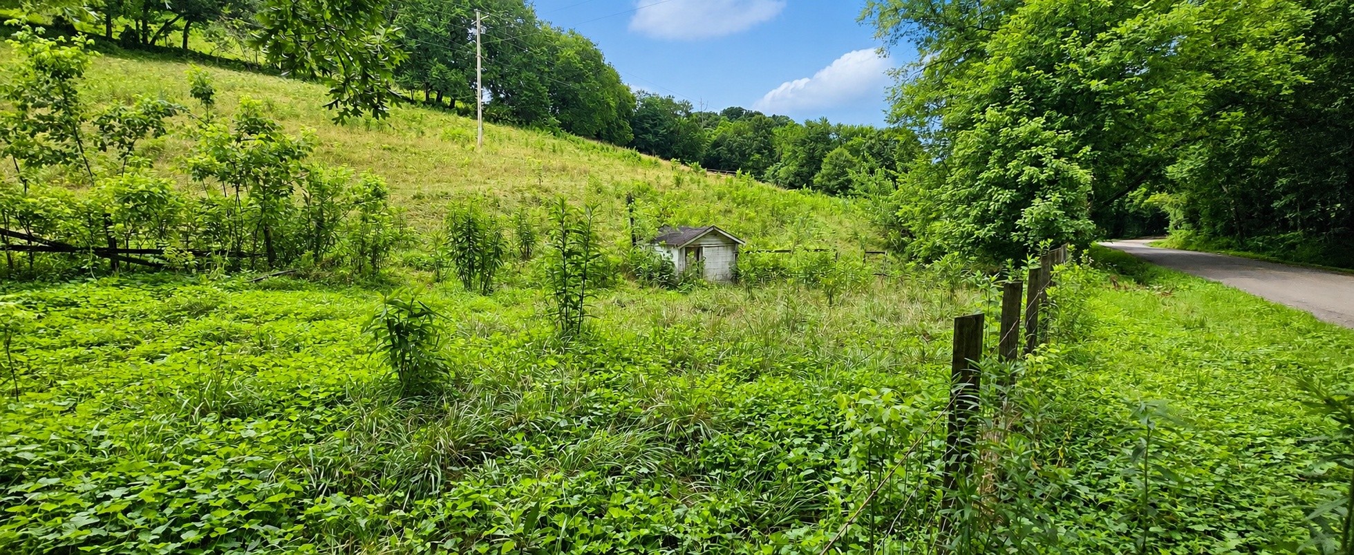 2039 Blackburn Hollow Road Pulaski, TN 38478 - Photo 16 of 21