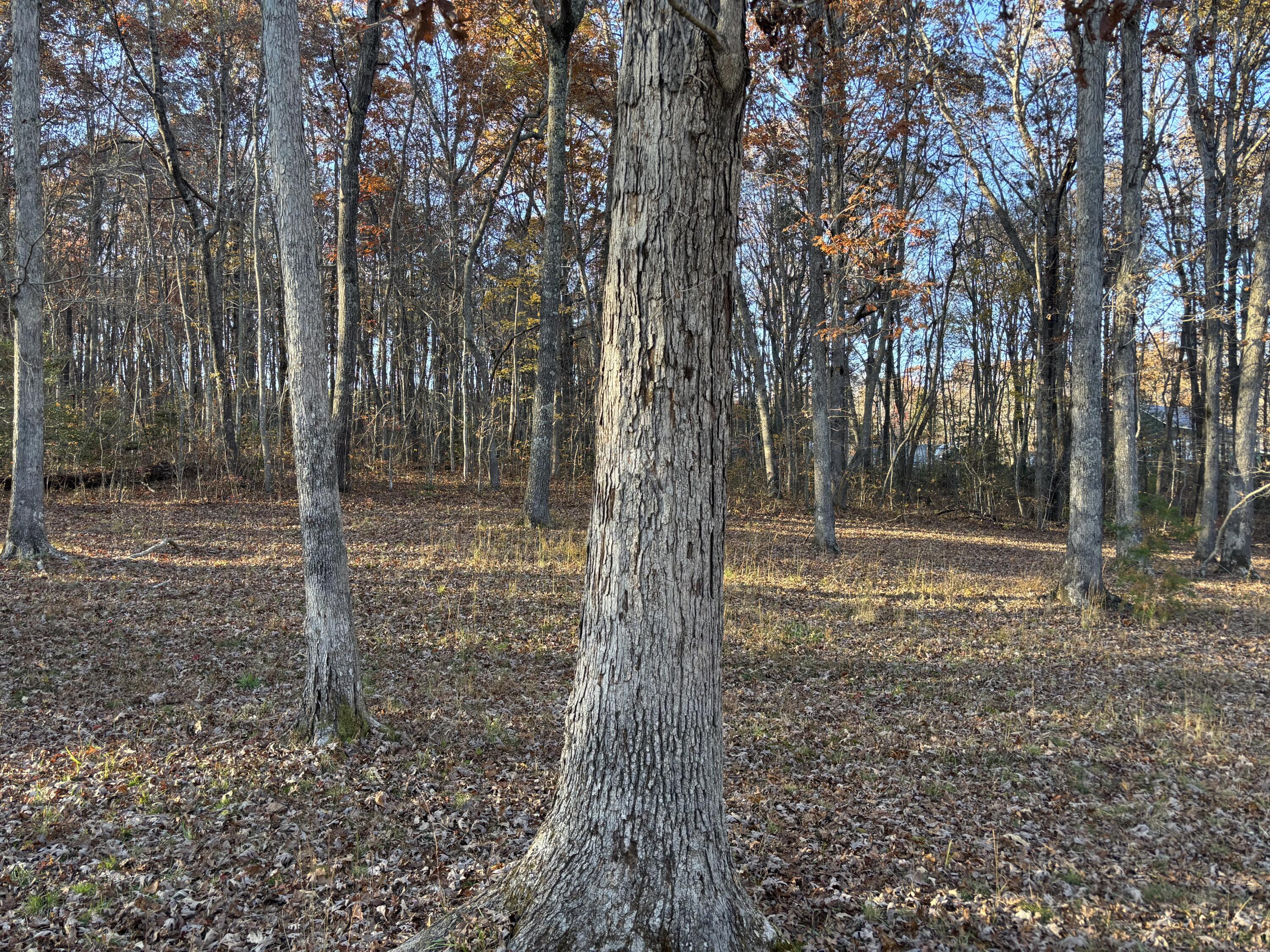 5613 Hendon Road Graysville, TN 37338 - Photo 11 of 20 IMG_8518