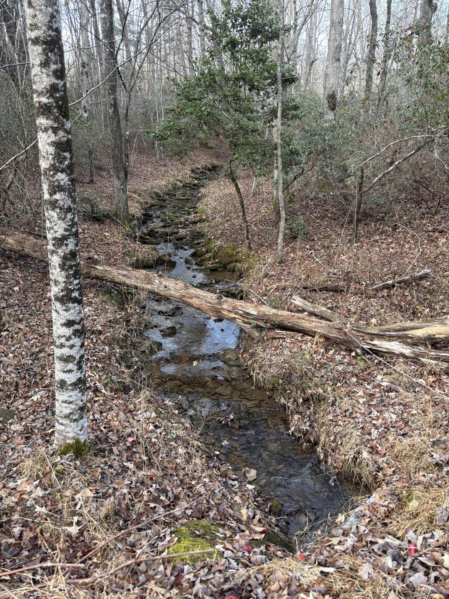 5613 Hendon Road Graysville, TN 37338 - Photo 20 of 20 IMG_8765