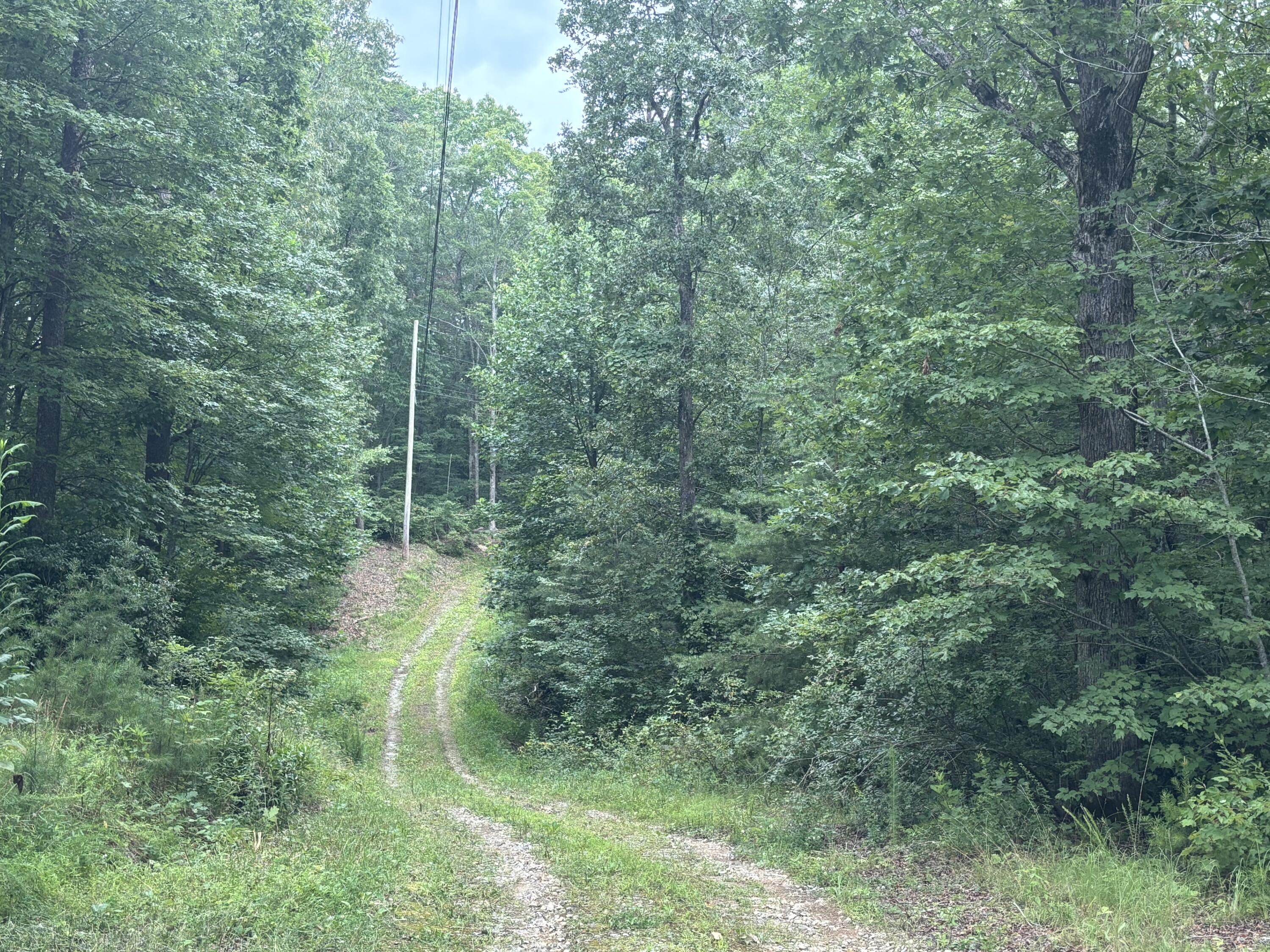 5613 Hendon Road Graysville, TN 37338 - Photo 4 of 20 IMG_7670