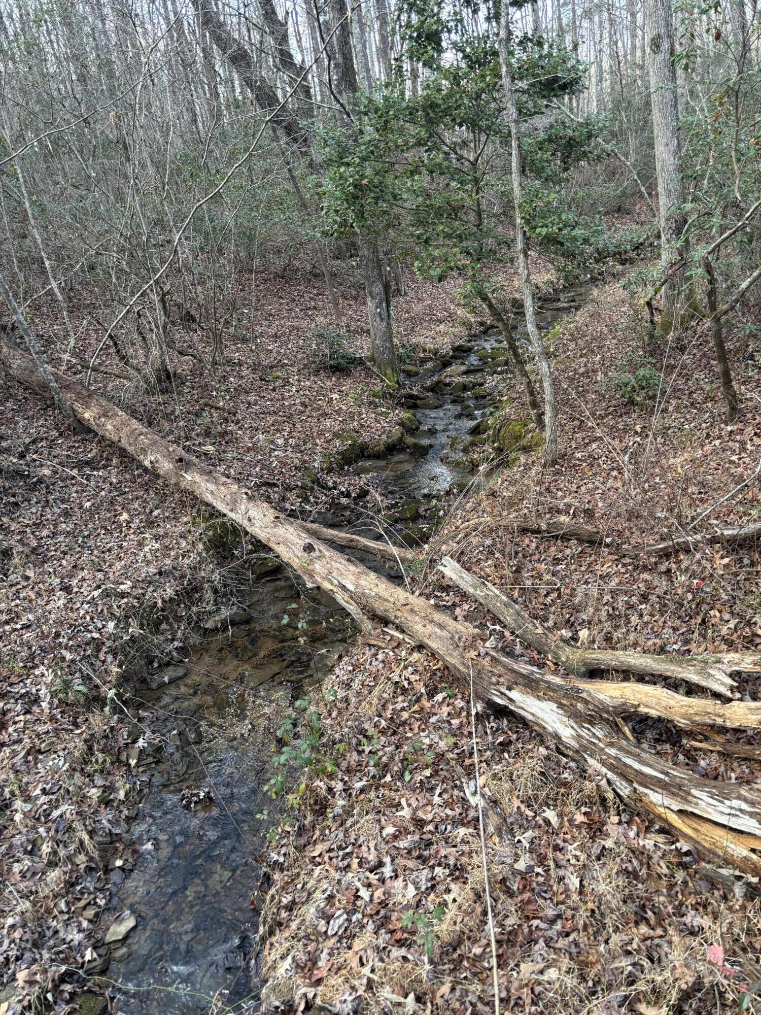 5613 Hendon Road Graysville, TN 37338 - Photo 6 of 20 IMG_8763