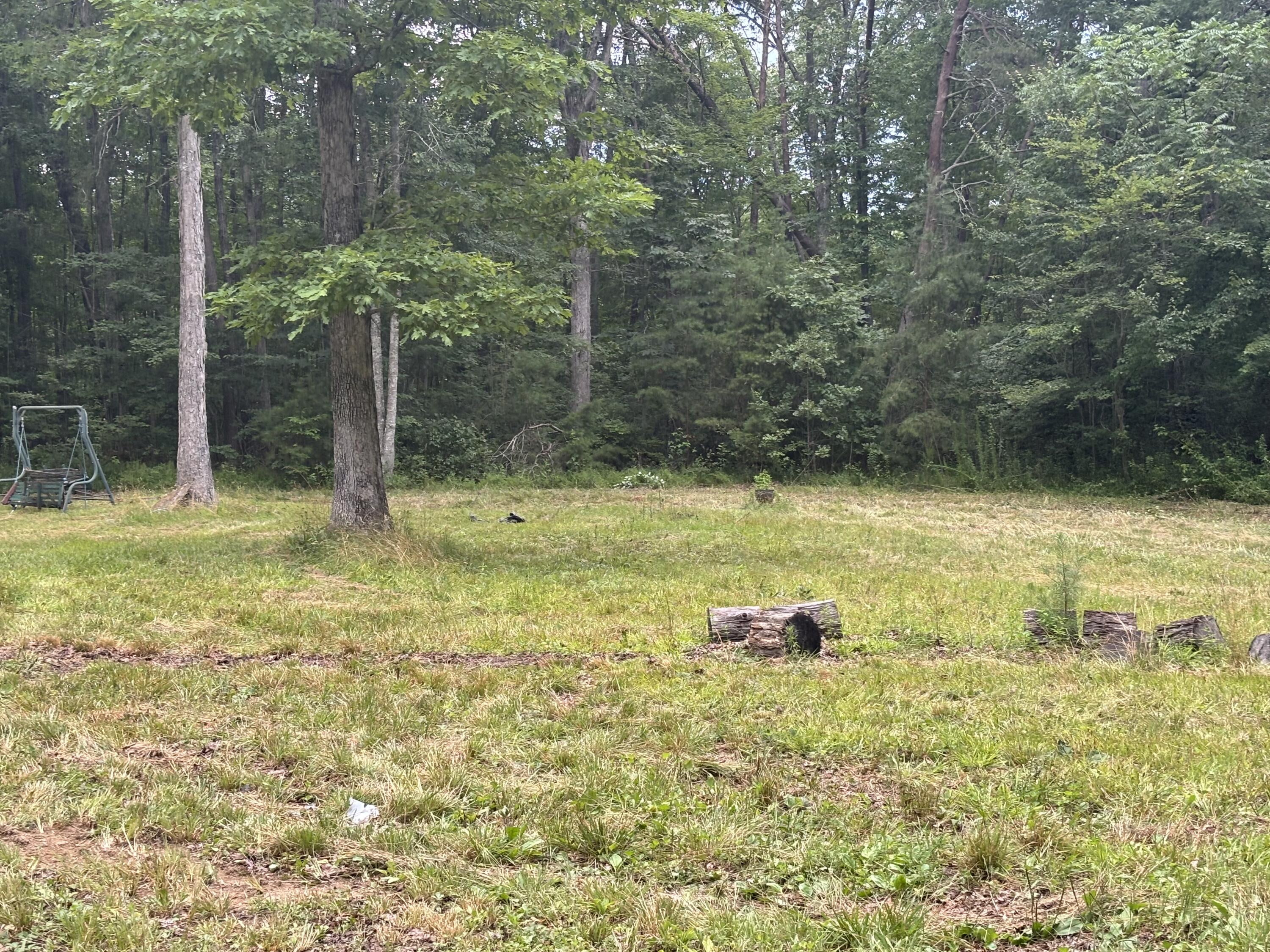 5613 Hendon Road Graysville, TN 37338 - Photo 7 of 20 IMG_7674