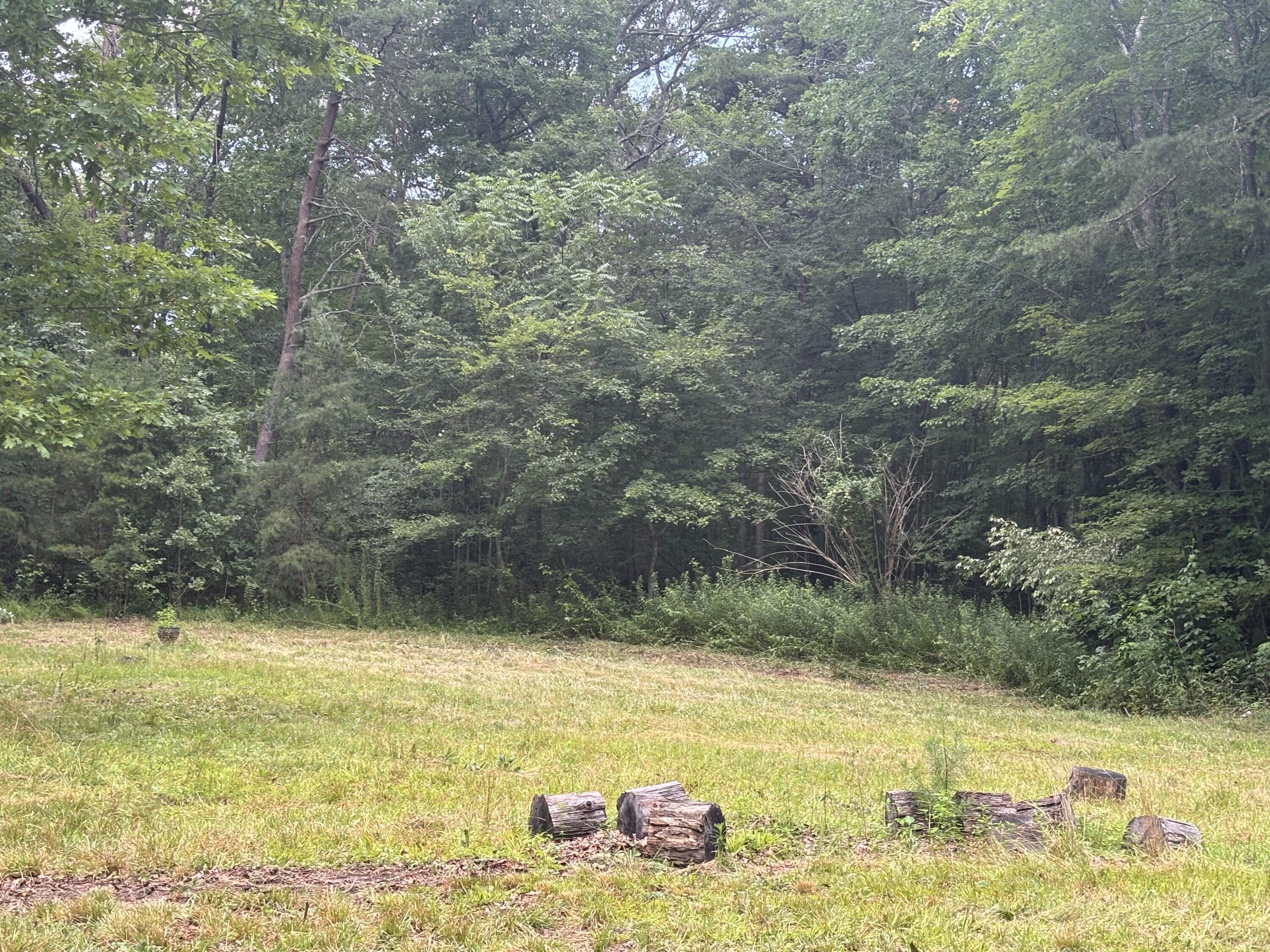 5613 Hendon Road Graysville, TN 37338 - Photo 9 of 20 IMG_7687