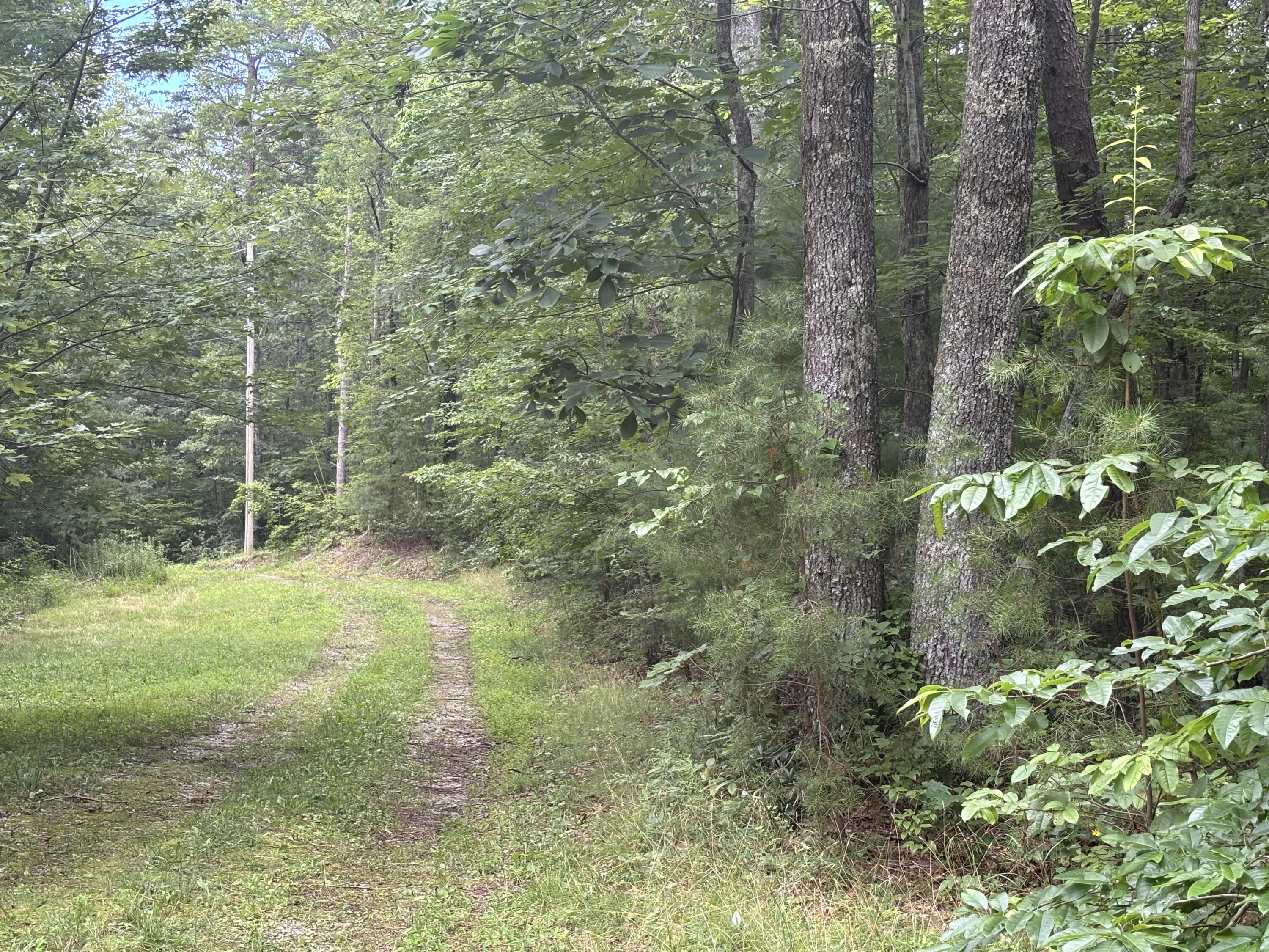 5613 Hendon Road Graysville, TN 37338 - Photo 10 of 20 IMG_7692