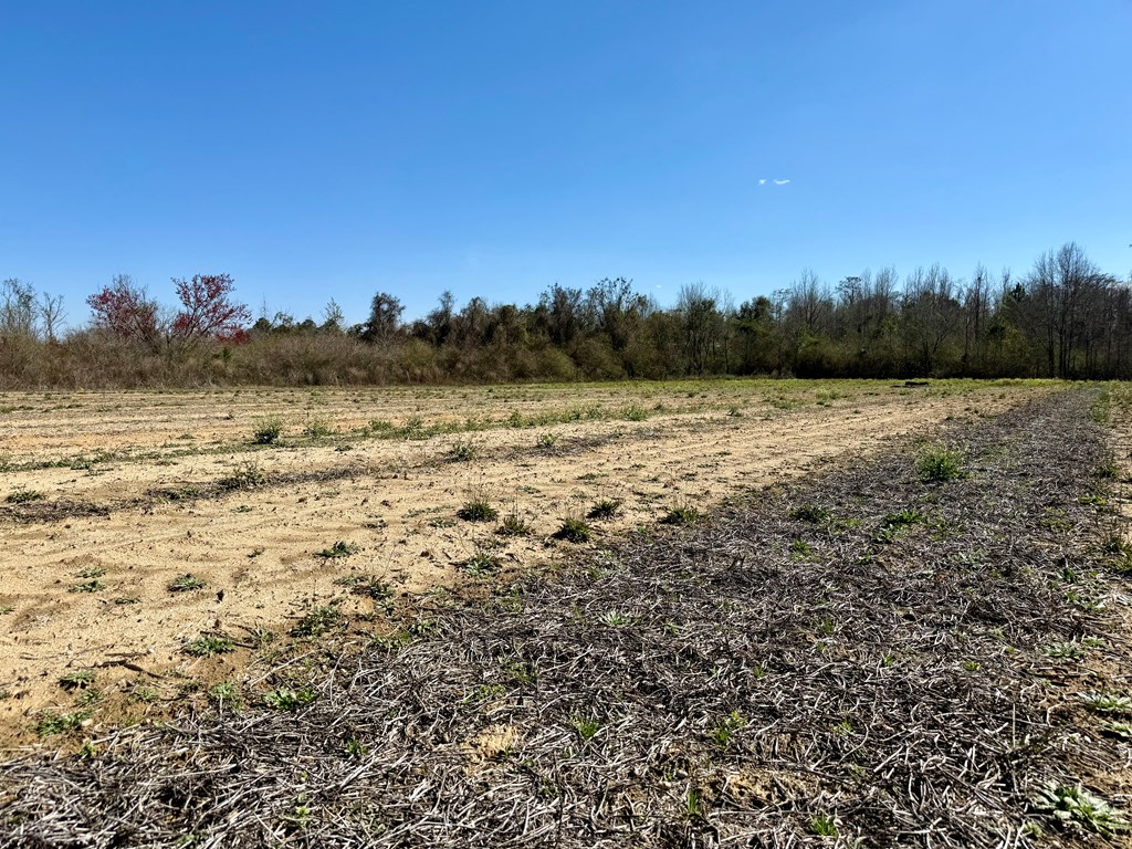 2.5-acres Garrett Road Ashford, AL 36312 - Photo 7 of 9
