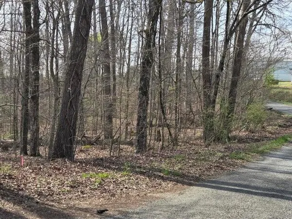 a backyard of a house with lots of trees