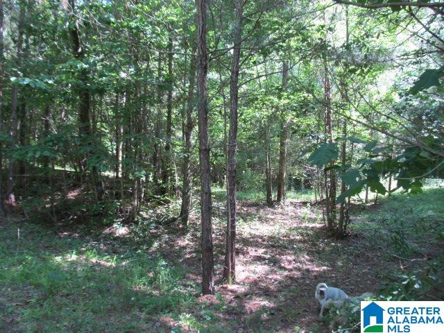 0 Choctaw Trail, Unit 10 Hayden, AL 35079 - Photo 12 of 24