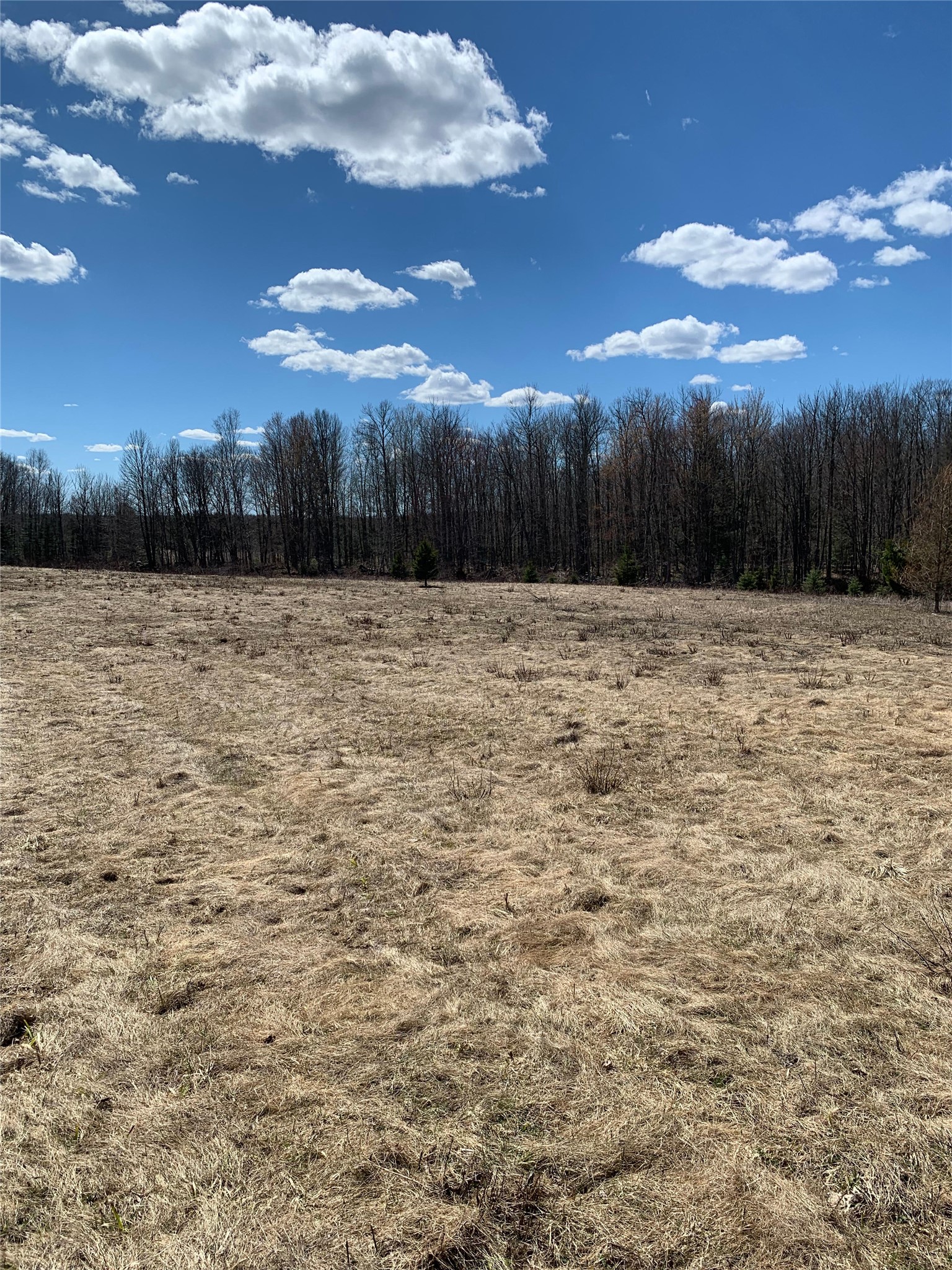 80-acres 80-acres Off South Park Road Butternut, WI 54514 - Photo 21 of 44