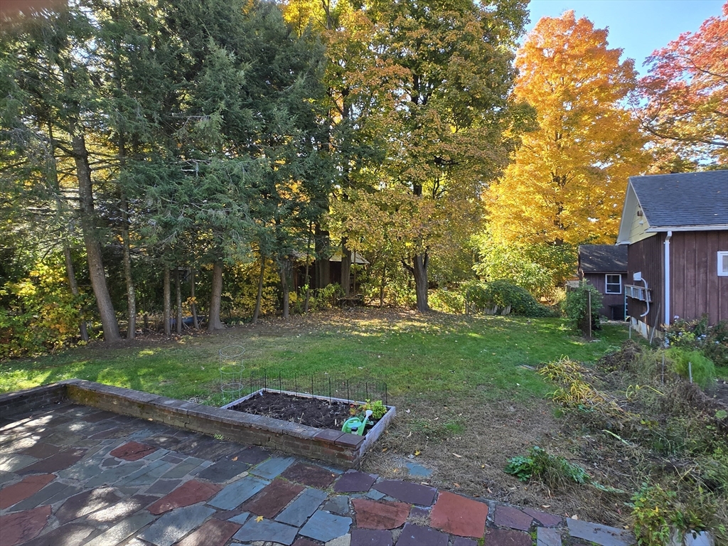 14 Parsons Street, Unit 2 Northampton, MA 01060 - Photo 27 of 28 a view of a yard with plants and trees