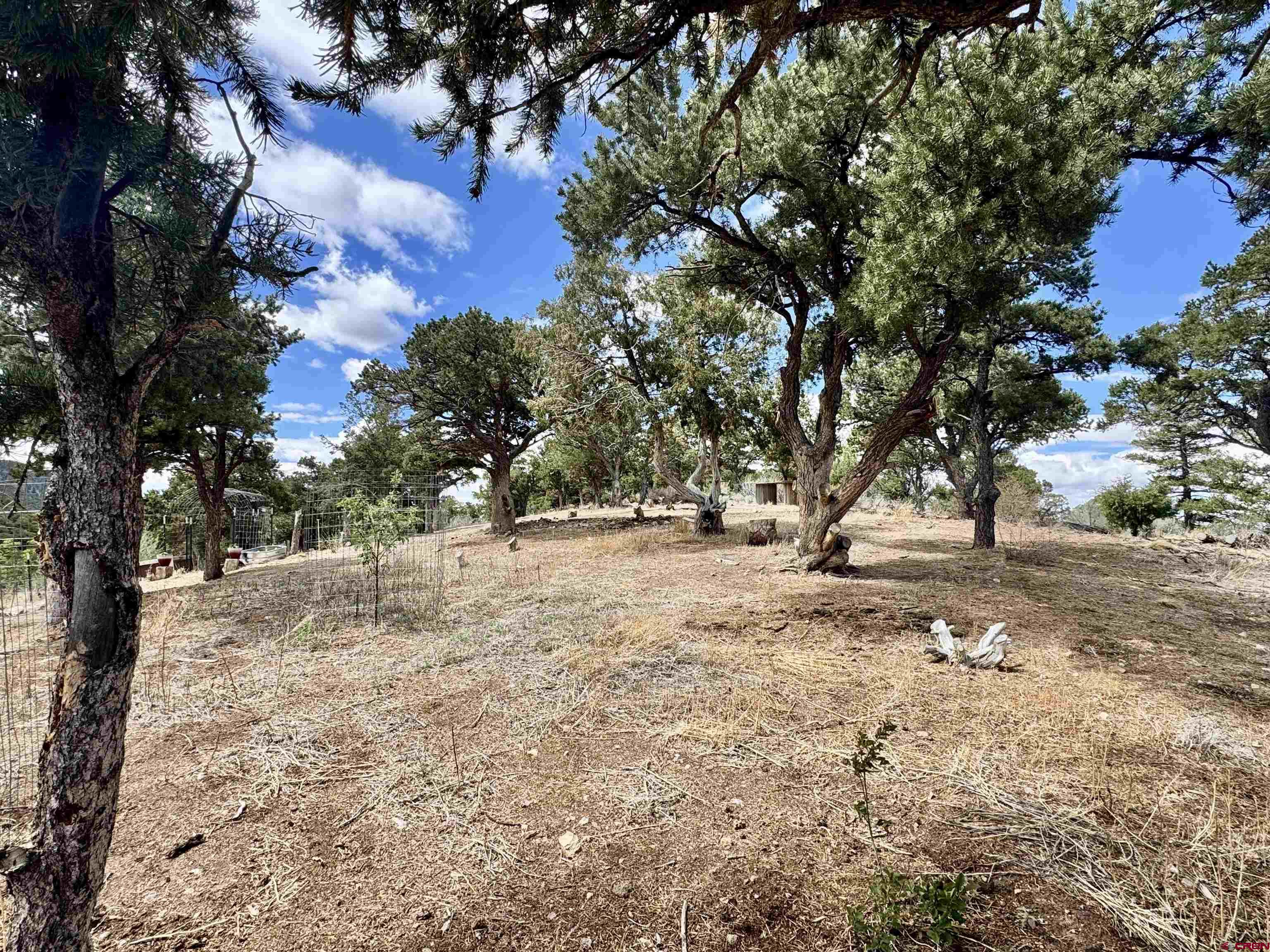 7436 Waligunda Road Fort Garland, CO 81133 - Photo 39 of 45