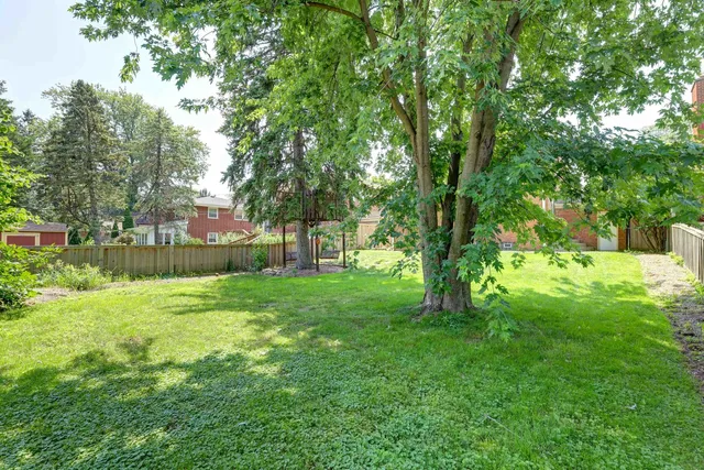 a view of a yard with a tree