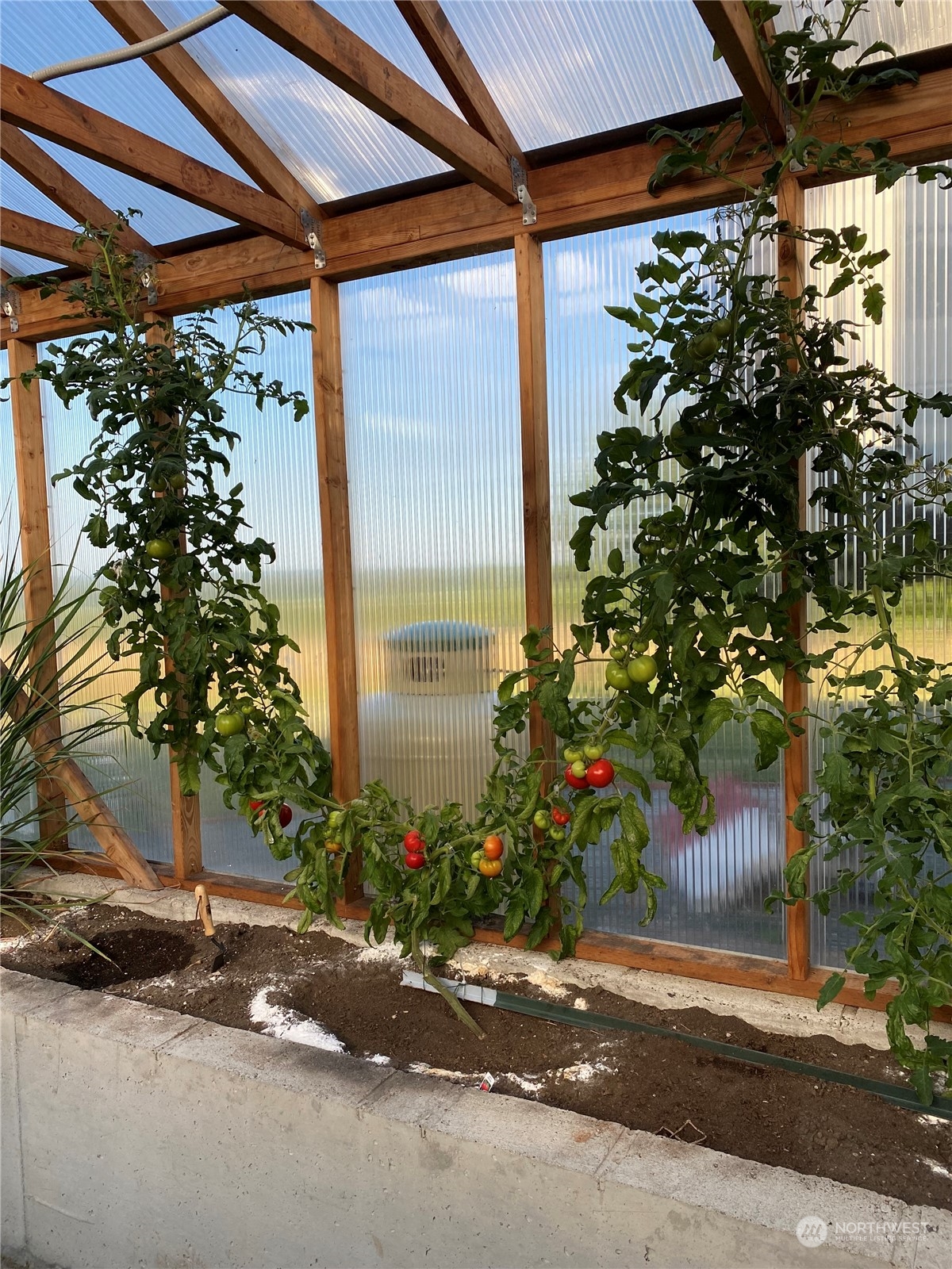 6400 Goodwin Road Everson, WA 98247 - Photo 35 of 38