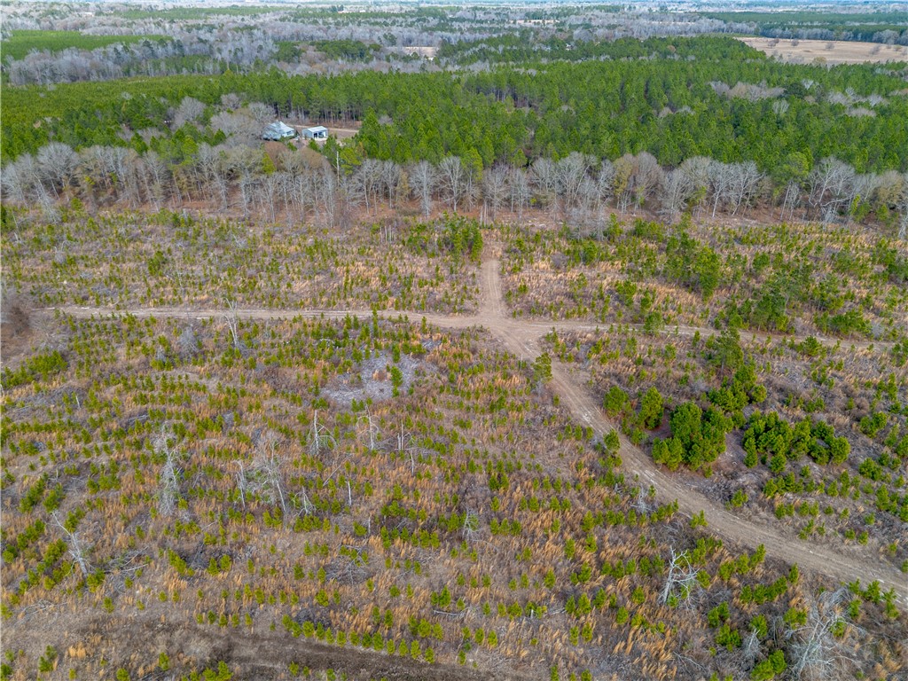 2 Bell Line Road Eastman, GA 31023 - Photo 2 of 8