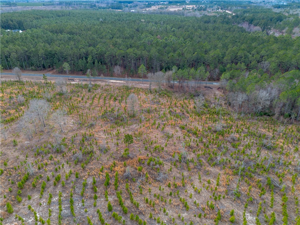 2 Bell Line Road Eastman, GA 31023 - Photo 3 of 8