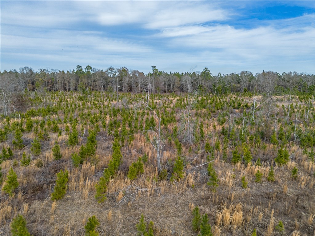 2 Bell Line Road Eastman, GA 31023 - Photo 4 of 8