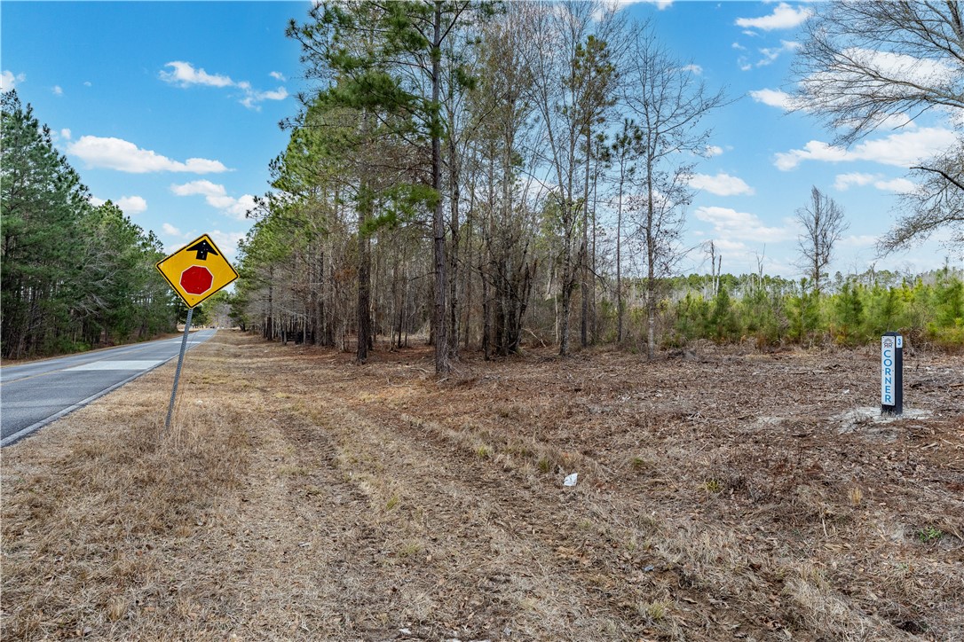 2 Bell Line Road Eastman, GA 31023 - Photo 5 of 8