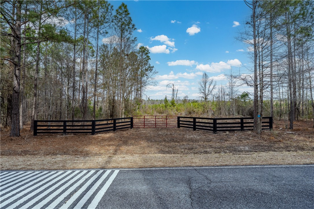 2 Bell Line Road Eastman, GA 31023 - Photo 6 of 8