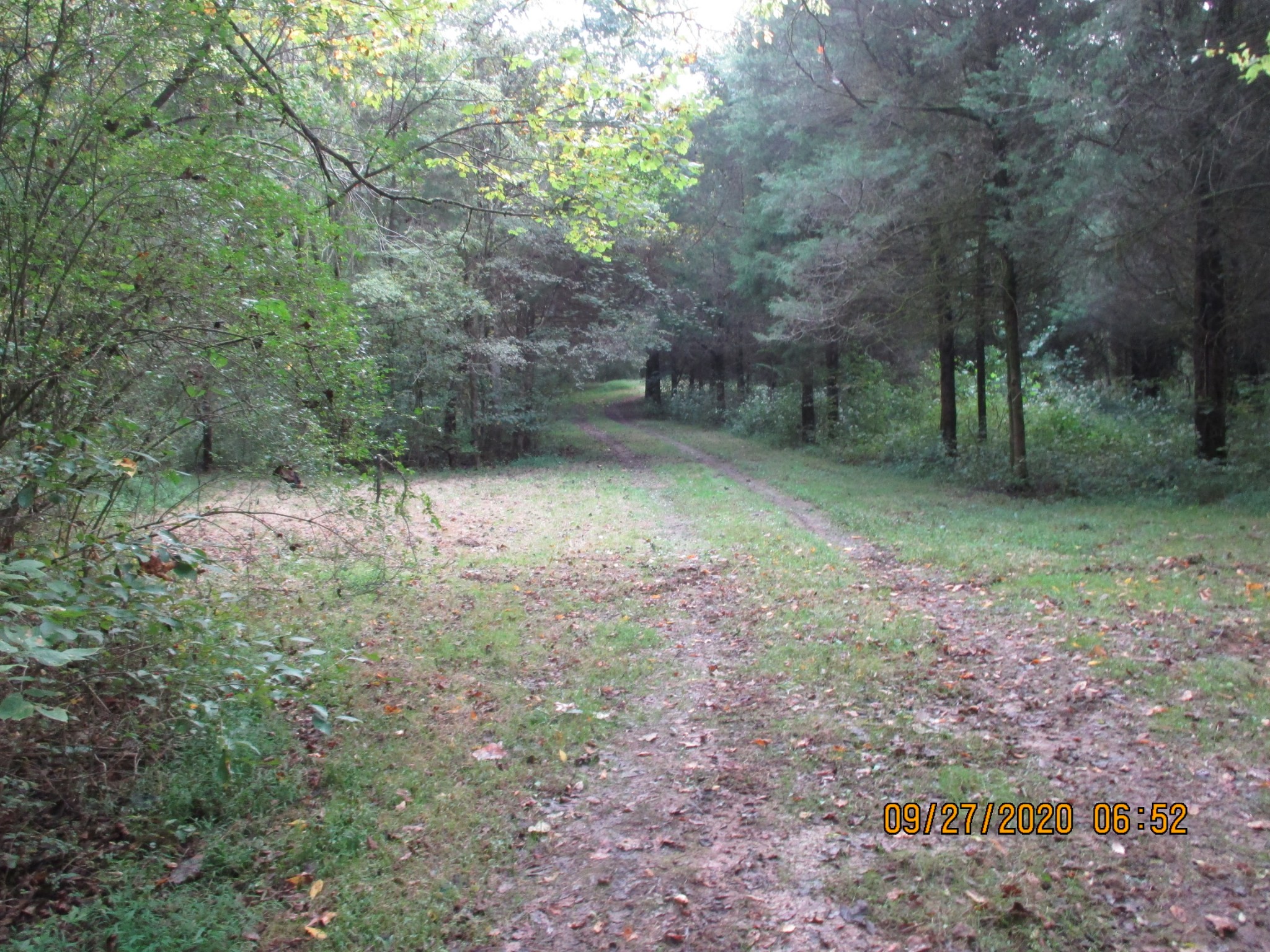 1 Greenfield Road Prospect, TN 38477 - Photo 11 of 16