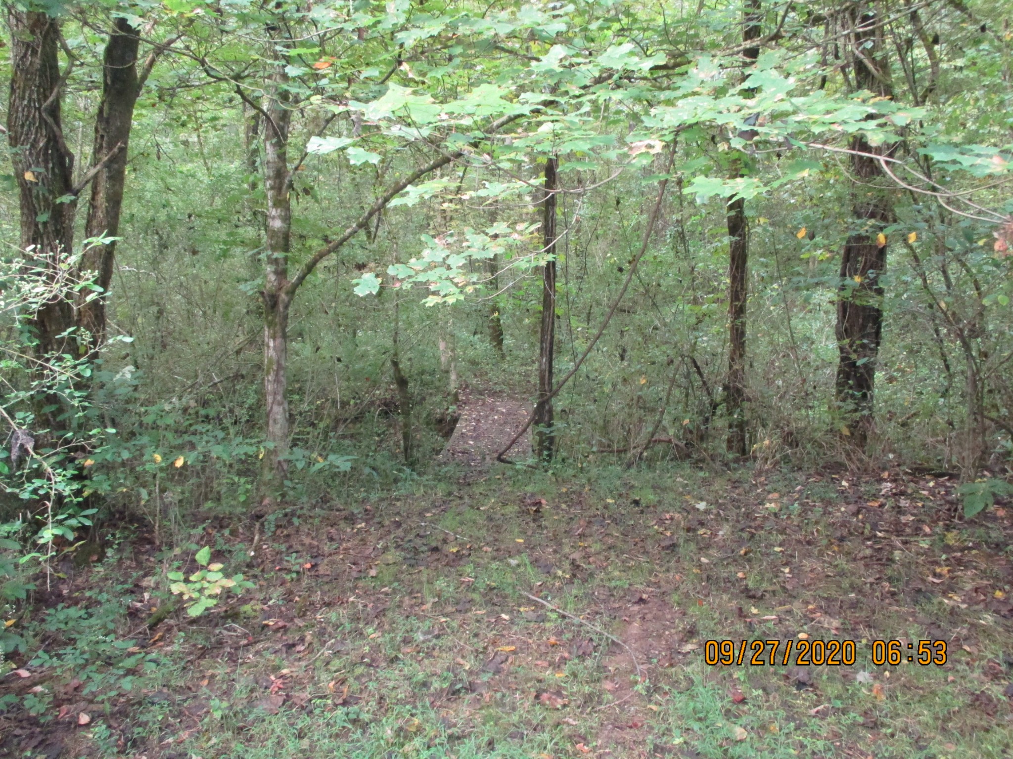 1 Greenfield Road Prospect, TN 38477 - Photo 12 of 16